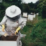 Photo Protective gear